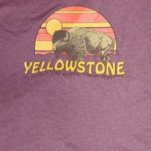Vintage Yellowstone National Park Buffalo and Bison Sunset T-Shirt unisex